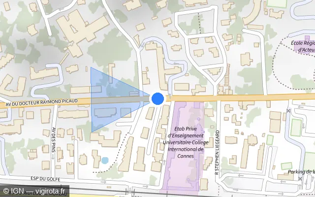 Vue plan de l'emplacement du radar de feu rouge à Cannes sur Avenue du Docteur Raymond Picaud / D 6007